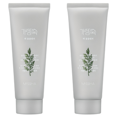 미샤 개똥쑥 팩 폼 클렌저, 150ml, 2개 2개, 150ml