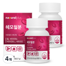 내츄럴플러스 헤모철분 300mg 27g, 4개