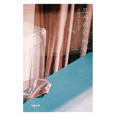 묘사하는 마음:김혜리 영화 산문집, 마음산책, 김혜리 마음산책, 김혜리