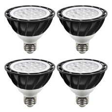 DAYSTAR HOUSE LED PAR30燈泡 15W E26 集中型, 日光色, 4個