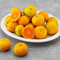 친환경 당도선별 제주 꼬마감귤, 1kg, 1개