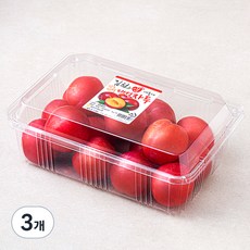 김천앤 내몸에 당도선별 대석 자두 특대, 1kg, 3개