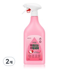 Jayeonpong 噴灑式廚房清潔劑 容器型 蘋果香, 750ml, 2個