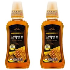 고려인삼 잡화벌꿀, 500g, 2개 2개, 500g