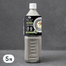 맑은물에 참좋은 국산 서리태콩물, 1L, 5개