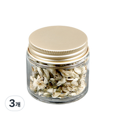 올차 아카시아 꽃차 소, 2.5g, 1개입, 3개
