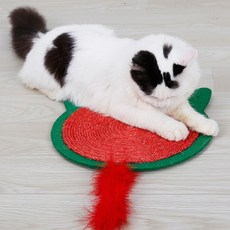 제이에이치컴퍼니 고양이 쫑긋 쫑긋 스크래쳐, 그린, 1개