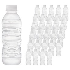 아이시스 생수 화이트캡 무라벨, 80개, 300ml