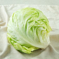 중국산 신선 양상추, 1개입, 1개