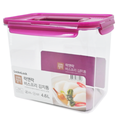 LocknLock 樂扣樂扣 Bisfree 泡菜專用密封保鮮盒 230*160*192mm, 4.6L, 1個
