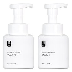 생활공작소 용기 핸드워시 망고향, 2개, 250ml