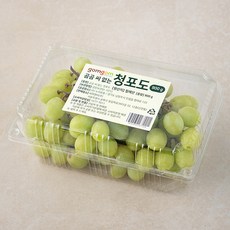 곰곰 씨없는 수입산 청포도, 900g, 1팩