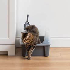 아이리스 평판 오픈형 고양이 화장실 CLH-12 + 모래삽, 다크그레이