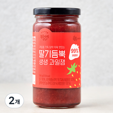 복음자리 과일 99% 딸기 듬뿍 생생과일잼, 380g, 2개 380g, 2개
