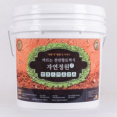 화실리