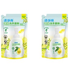 清淨海 環保洗手慕斯補充包, 450g, 2包