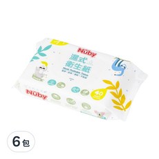 Nuby 濕式衛生紙, 40張, 6包