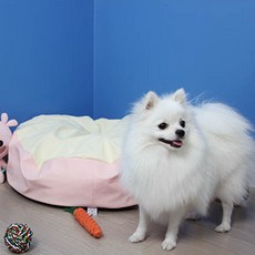 체리펫