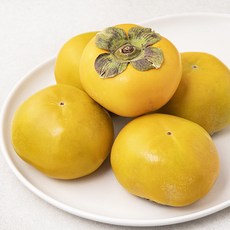 곰곰 GAP 창원 단감, 800g(5~7입), 1개