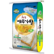 창녕군농협 황금 메뚜기쌀 2023년 햅쌀, 10kg(상등급), 1개