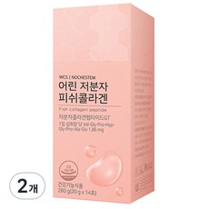 닥터린 어린 저분자 피쉬콜라겐, 20g, 14개입, 2개