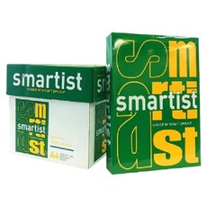 Double A Smartist 影印紙, 2500張/箱, 70g/m², 100um厚, A4, 5包