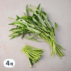 국내산 공심채, 150g, 4개