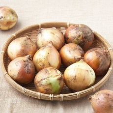 국내산 양파, 1개, 1.8kg