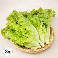 국내산 포기상추, 300g, 3개