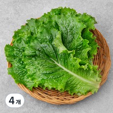 GAP 한끼 청상추, 80g, 4개