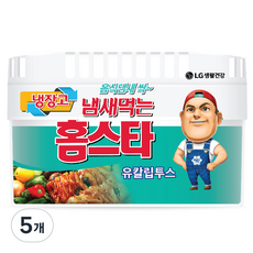 냄새먹는 홈스타 냉장고용 탈취제 유칼립투스, 420g, 5개