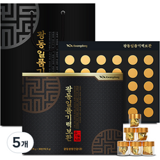 광동 일품기력보환 30p + 쇼핑백, 113g, 5개