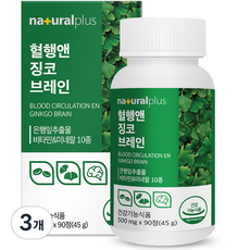 내츄럴플러스 혈행앤 징코 브레인, 90정, 3개