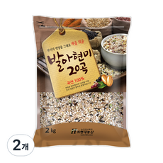 현대농산 발아현미20곡, 2kg, 2개