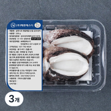 살맛나요 탱글탱글 손질 갑오징어 (냉장)