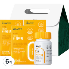 셀트리온 이너랩 액티브 활력 비타민B 콤플렉스 선물세트, 6개, 60정