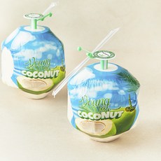 수플린 베트남산 영코코넛, 1개, 1.8kg(2입) 1개, 1.8kg(2입)