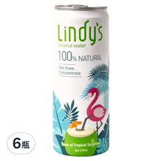 Lindy's 100%原味椰子水310ml*6瓶裝，天然無添加，補充水分，清涼解渴, 310ml, 6瓶