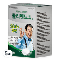 동아제약 클리덴트 정 틀니세정제, 108개입, 5개