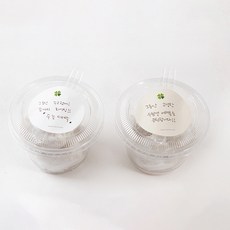봄91 굿럭 클로버 2종 원형 메모 스티커, 혼합 색상, 80개입