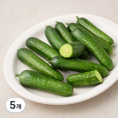미니오이, 10입, 5개