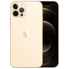 Apple 아이폰 12 Pro 자급제, 128GB, 골드