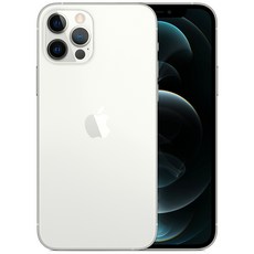 Apple 아이폰 12 Pro 자급제, 256GB, 실버