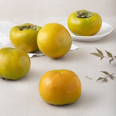 곰곰 단감, 1kg(대과), 1개