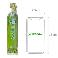국내산 애호박, 1개입, 1개 - 이미지 4