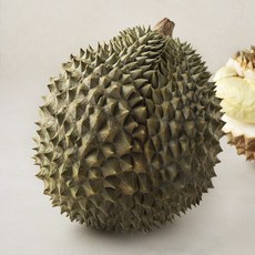 더달 두리안, 2~2.5kg, 1통