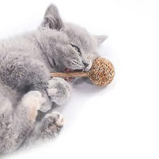 캣완트 고양이 스트레스해소 치석제거 사탕시리즈 장난감 A01 마따따비, 혼합색상, 1개