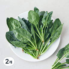 친환경 인증 베이비 시금치, 100g, 2개
