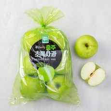 프레샤인 GAP 인증 충주 초록사과, 1.3kg(5~9입), 1봉