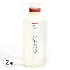 블랑101 유아 세탁 세제 블러쉬 1L, 2개